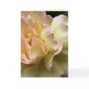 Glorious Yellow Rose Card by LorrieM Glorious Yellow Rose Card