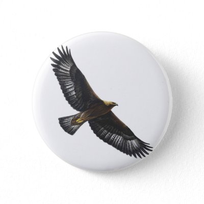 soaring eagle tattoo,