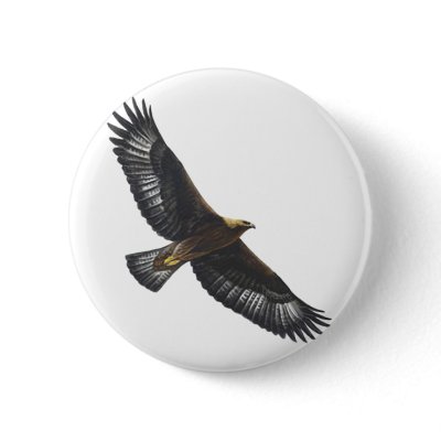 soaring eagle tattoo, soaring eagle tattoo,