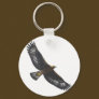 Glorius Golden Eagle Soaring