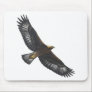 Glorius Golden Eagle Soaring