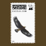 Glorius Golden Eagle Soaring