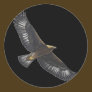 Glorius Golden Eagle Soaring