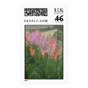 Glory Glads postage