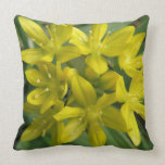 Glory of the Snow Pillow