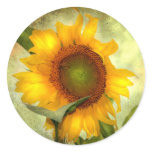 Glory Sticker