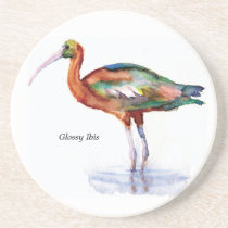 Glossy Ibis coaster coasters