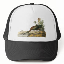 Glossy Ibis, John Audubon Mesh Hats
