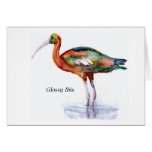 Glossy Ibis note card