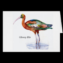 Glossy Ibis note card cards