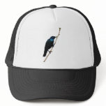 Glossy Starling blue bird of happiness Mesh Hat