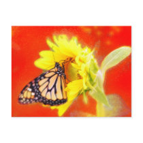 Glow , postacrd postcards