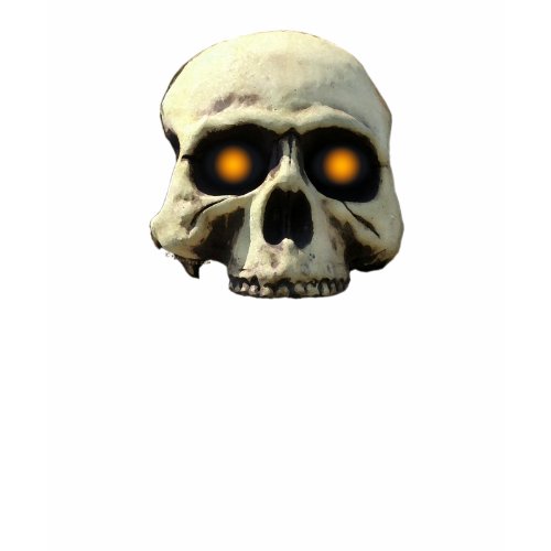 Glow Skull Shirts shirt
