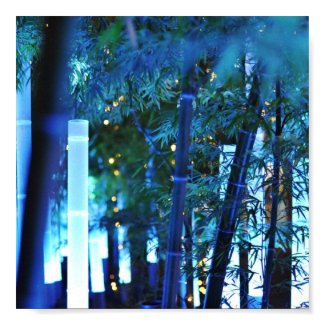 Glowing Bamboo in Tokyo, Japan. print