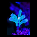 Glowing blue flower posters