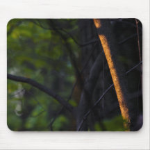 glowing-branch-2012-03-30 mousepads