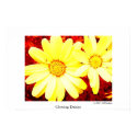Glowing Daisies posters