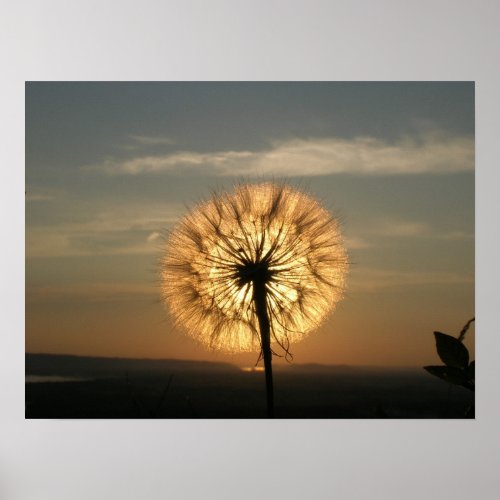 Glowing Dandelion print