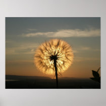 Glowing Dandelion Print