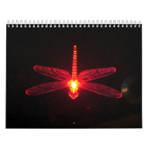 Glowing Dragonfly 2011 Calandar Wall Calendars