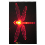 Glowing Dragonfly 2012 Calandar Wall Calendar