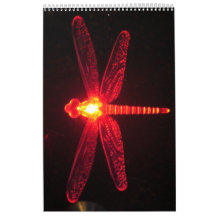 Glowing Dragonfly 2012 Calandar Wall Calendar