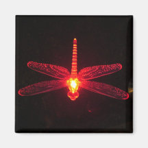 Glowing Dragonfly Refrigerator Magnets