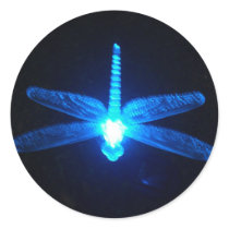 Glowing Dragonfly Stickers