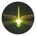 Glowing Dragonfly Stickers