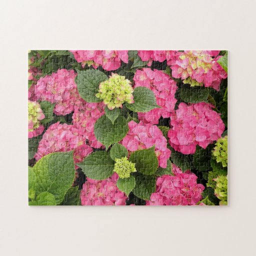 'Glowing Embers Blooms' Puzzle