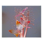Glowing Fiber Optic Butterflies Photo Print
