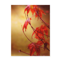 Glowing Fire Post Card postcards by Eseffpe Glowing Fire Post Card postcards
