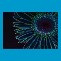 Glowing Gerbera Daisy posters