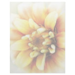 Glowing Golden Zinnia Customized Letterhead