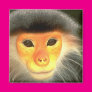 Glowing Monkey Magnet Glowing Monkey Magnet