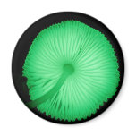 Glowing Mushrooms Magnets