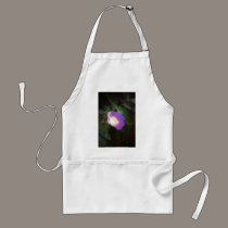 glowing old fashioned rose elegance aprons