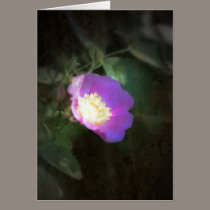 glowing old fashioned rose elegance cards