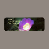 glowing old fashioned rose elegance labels