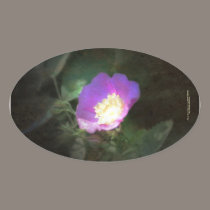 glowing old fashioned rose elegance stickers