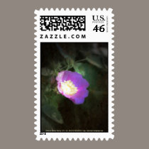 glowing old fashioned rose elegance stamps