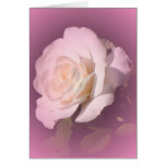 GLOWING PINK DUTCHER ROSE greeting card