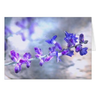 Glowing Purple Flowers Greeting Card