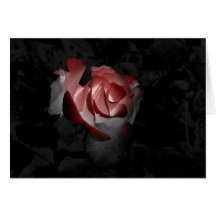 Glowing Rose Cards