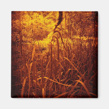Glowing Rushes. Fridge Magnets
