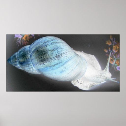 glowing snail posters Zazzle