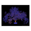 glowing tree 1 posters