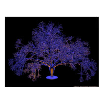 glowing tree 1 posters