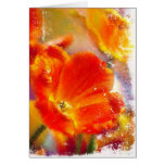 Glowing Tulip-greeting card