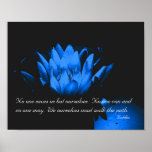Glowing Water Lily Inspirational Quote Poster
